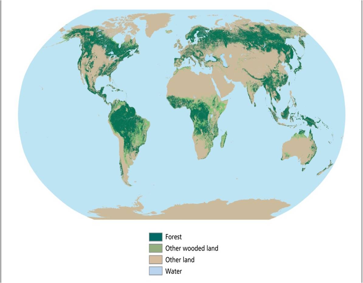 Страны северного лесного пояса. Лесные пояса планеты. Леса на земле карта. Карта лесов планеты. Тропические леса на карте.